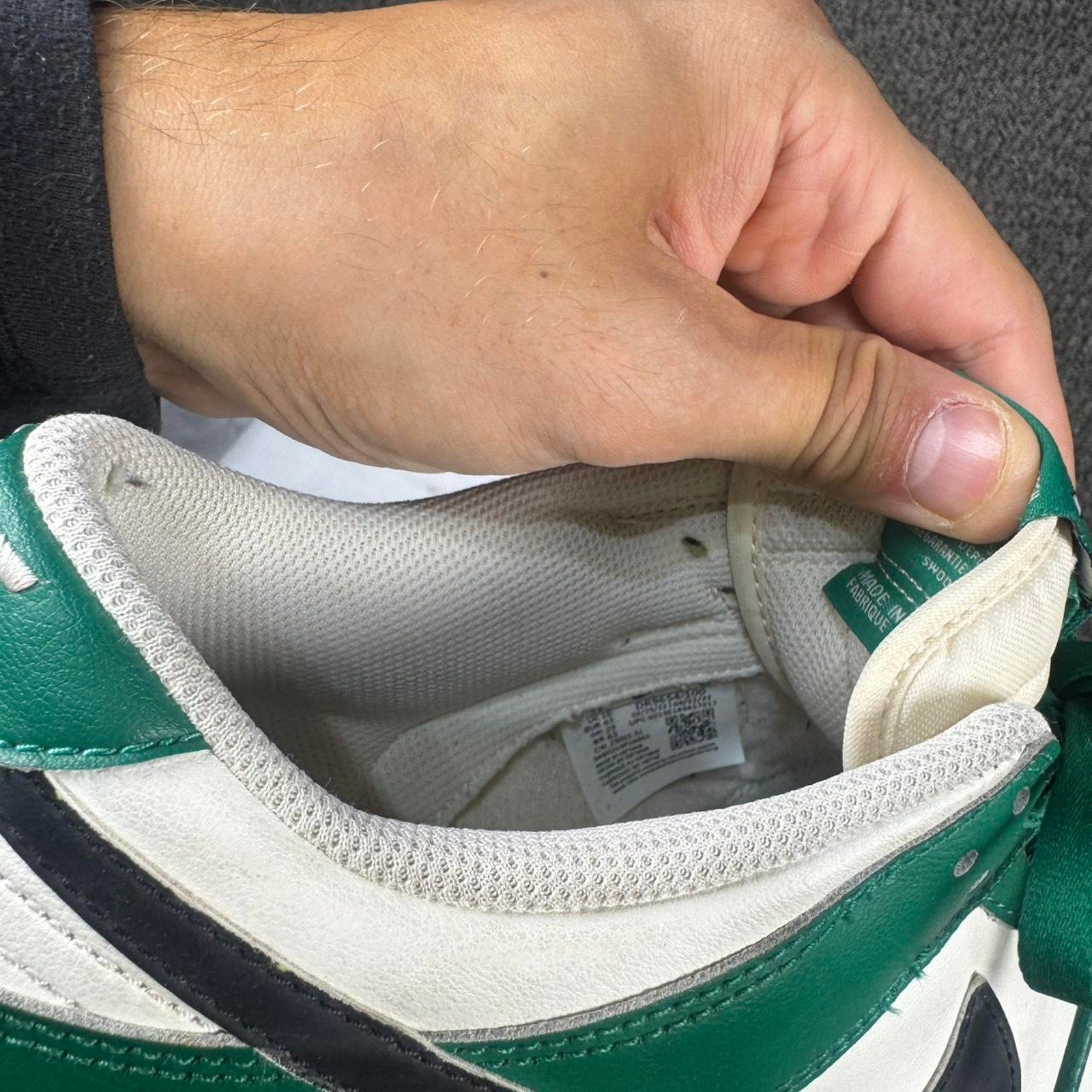 Nike dunk low pine green